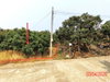 listing thumbnail image 10