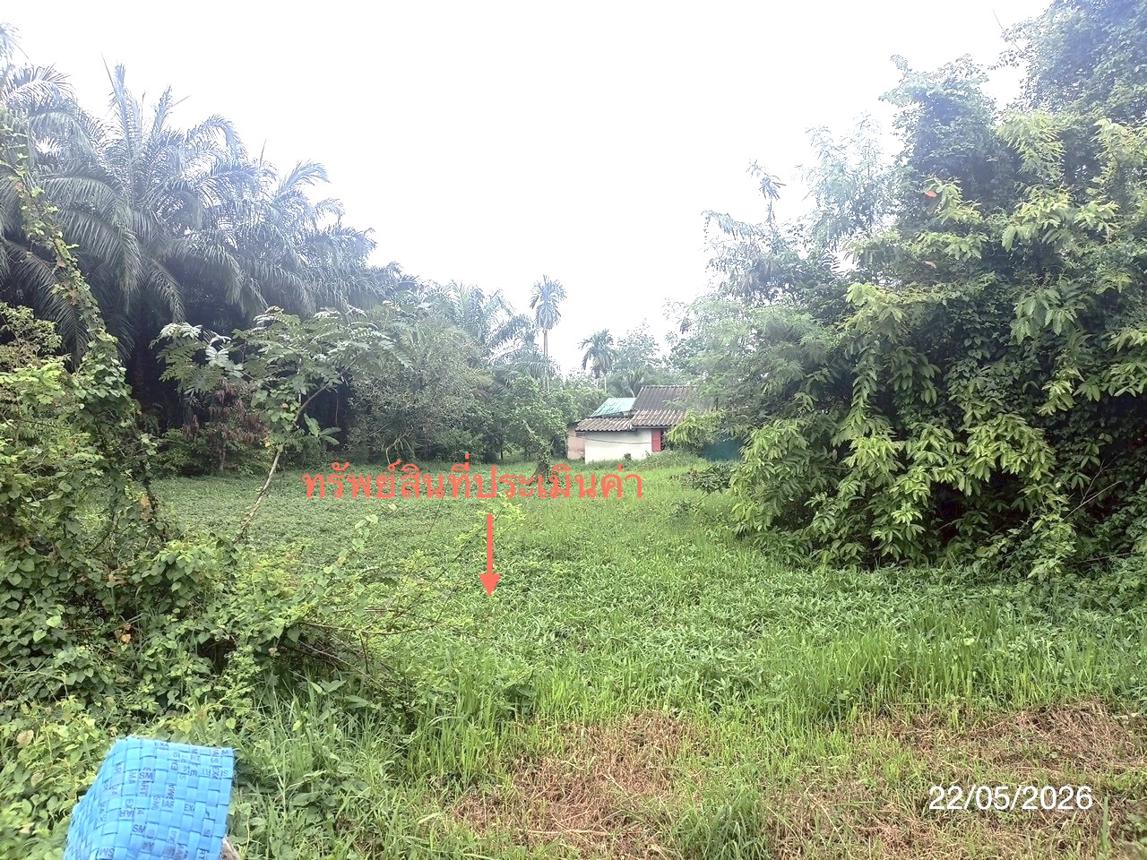 รูป ที่ดินว่างเปล่า 143 ตร.วา พระพรหม นครศรีธรรมราช 841,000 - รูปที่ 11/17