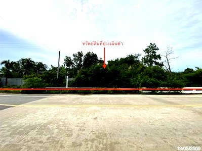 ที่ดิน จะนะ สงขลา : ที่ดินว่างเปล่า 361.9 ตร.วา จะนะ สงขลา 1.5M