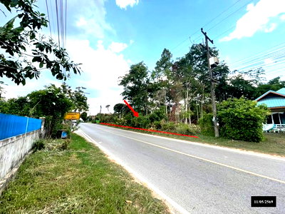 ที่ดิน ส่องดาว สกลนคร : ที่ดินว่างเปล่า 373 ตร.วา ส่องดาว สกลนคร 1.2M