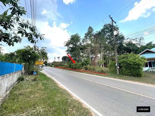 รูป ที่ดินว่างเปล่า 373 ตร.วา ส่องดาว สกลนคร 1.2M - รูปที่ 1/15