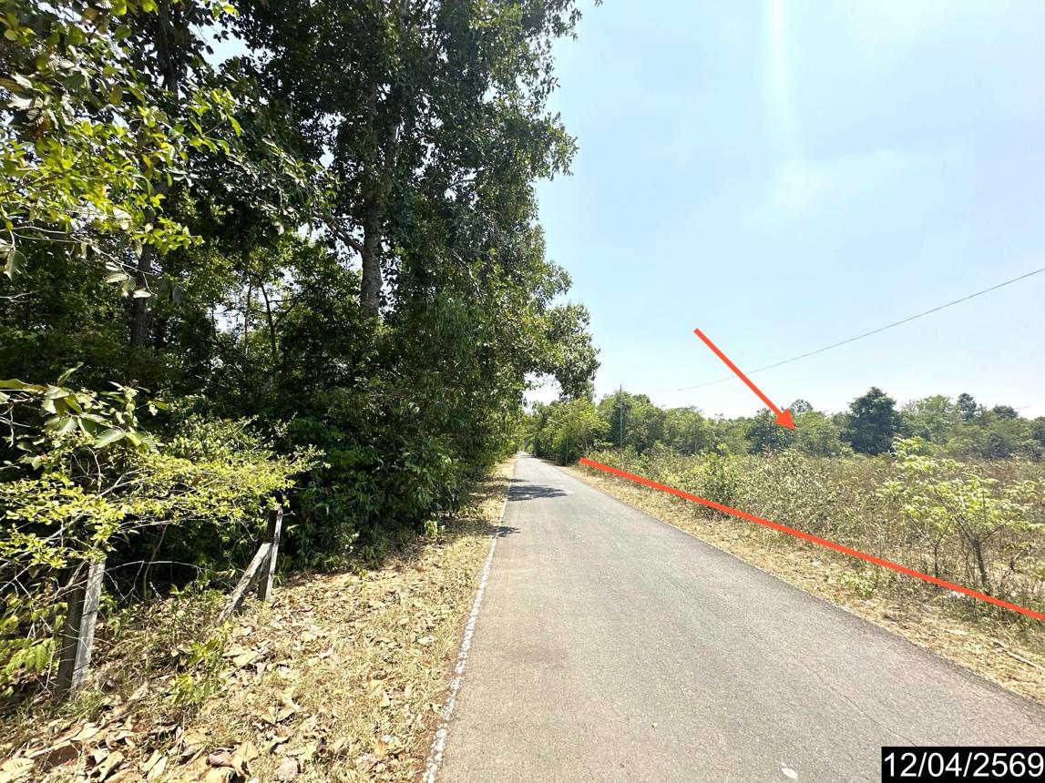 รูป ที่ดินว่างเปล่า 1662.3 ตร.วา เมืองอุบลราชธานี อุบลราชธานี 4.2M - รูปที่ 11/17