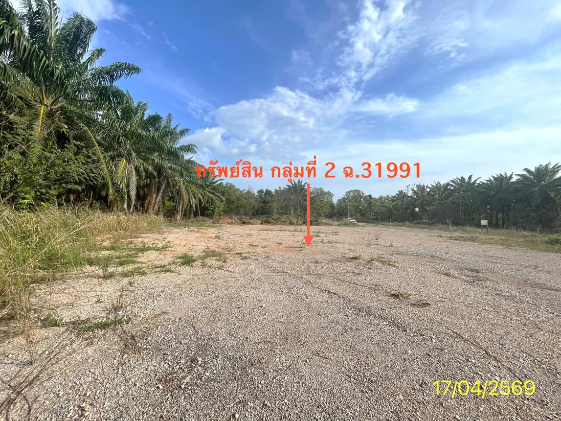 รูป ที่ดินว่างเปล่า 564.2 ตร.วา ปะเหลียน ตรัง 5.9M - รูปที่ 25/31