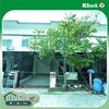 listing thumbnail image 50