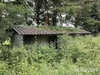listing thumbnail image 50