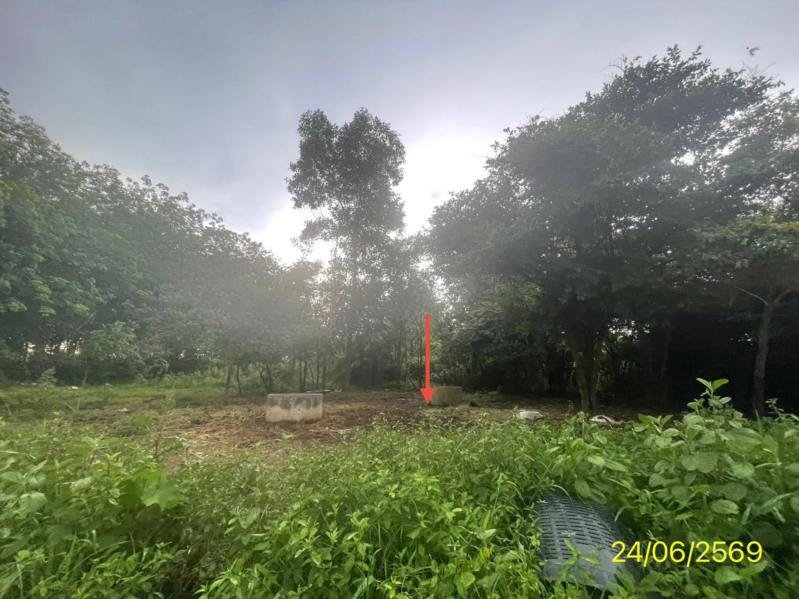 picture LAND 99.8 Sq.w. Hat Yai Songkhla for 569,000 - 16/21