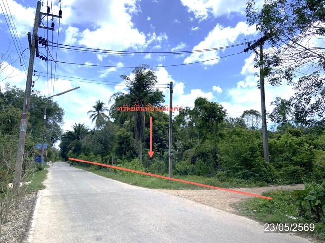picture HOME 6467.9 Sq.w. Thepha Songkhla for 4.6M - 16/35