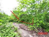 listing thumbnail image 17