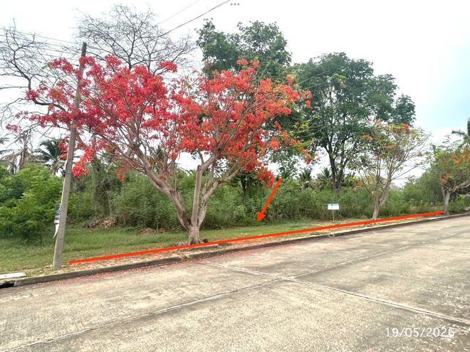 picture LAND 225 Sq.w. Nakhon Chai Sri Nakhon Pathom for 3.3M - 2/21