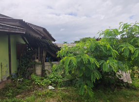 รูป บ้านครึ่งตึกครึ่งไม้ 1117 ตร.วา แม่ทา ลำพูน แม่ทา ลำพูน 3.3M - รูปที่ 19/20
