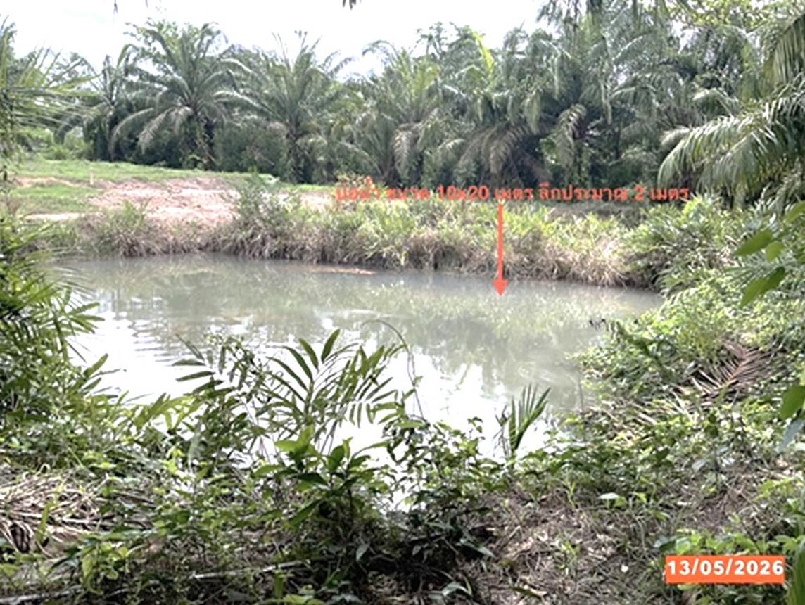 picture LAND 468.3 Sq.w. Kantrang Trang for 2.2M - 14/19