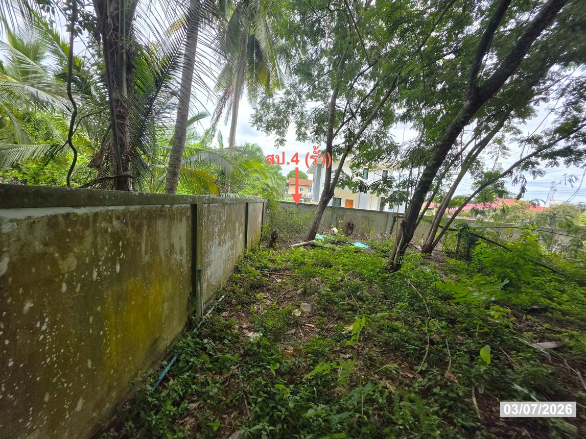 รูป บ้านเดี่ยว 198 ตร.วา เมืองสุราษฎร์ธานี สุราษฎร์ธานี 4.6M - รูปที่ 40/45
