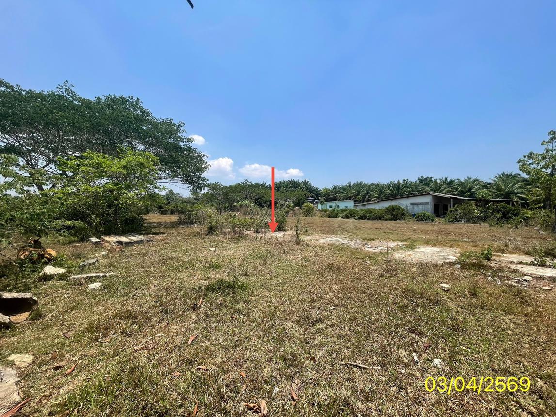 picture LAND 179.2 Sq.w. Kantrang Trang for 1.5M - 17/25