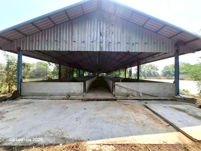 รูป ฟาร์ม 9600 ตร.วา เก้าเลี้ยว นครสวรรค์ 12.6M - รูปที่ 7/39