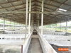 listing thumbnail image 26
