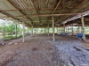 listing thumbnail image 26