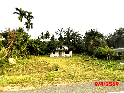 บ้านเดี่ยว สุราษฎร์ธานี : บ้านเดี่ยว 265 ตร.วา ชัยบุรี สุราษฎร์ธานี 1.7M
