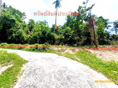 ขายที่ดิน : ที่ดินว่างเปล่า 2986 ตร.วา เกาะสมุย สุราษฎร์ธานี 20.9M