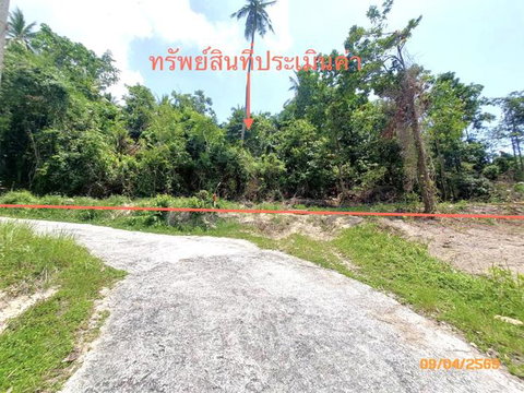 LAND 2986 Sq.w. Ko Samui Surat Thani for 20.9M