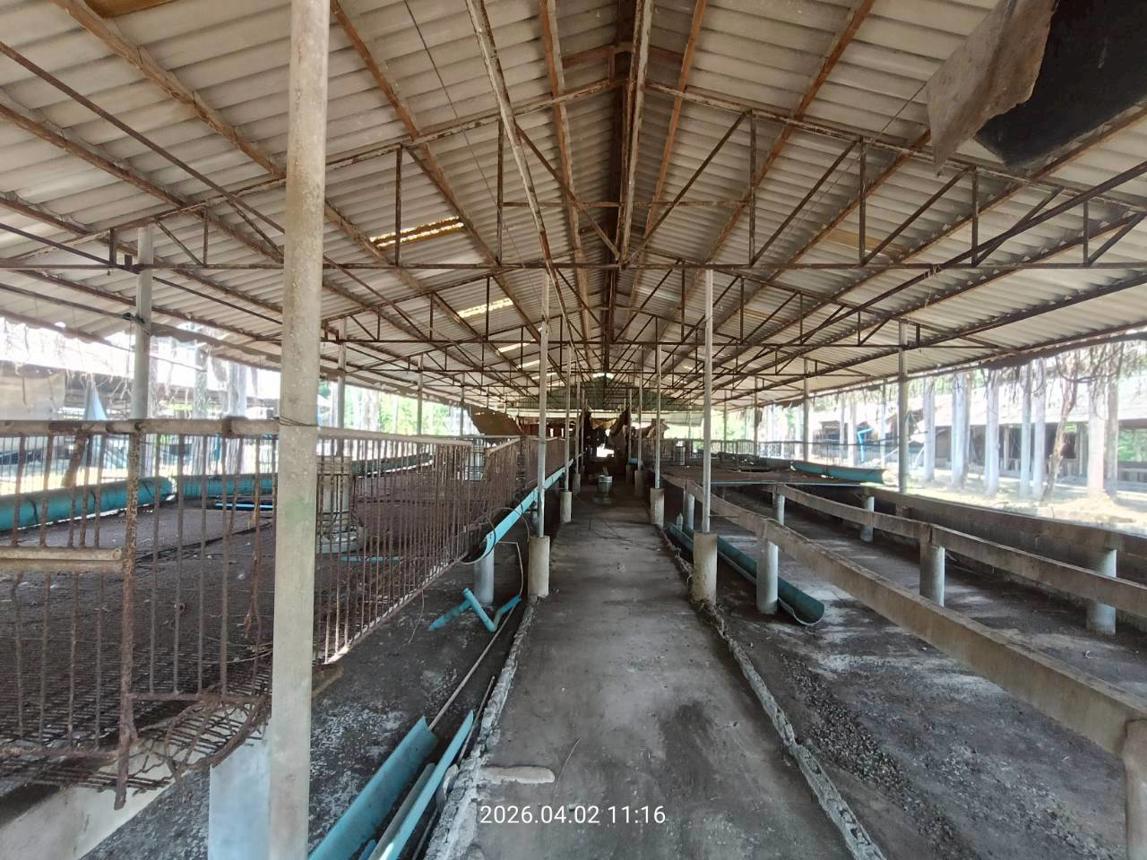 รูป ฟาร์ม 6600 ตร.วา เมืองปราจีนบุรี ปราจีนบุรี 8.8M - รูปที่ 49/89