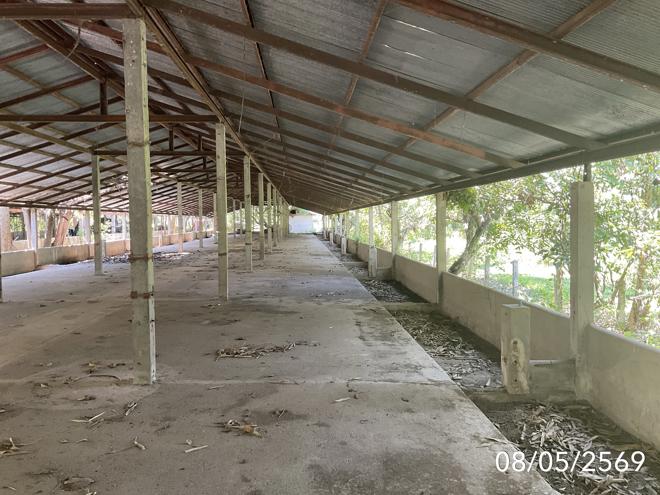 รูป โกดัง 4023 ตร.วา เวียงชัย เชียงราย 4.4M - รูปที่ 5/21