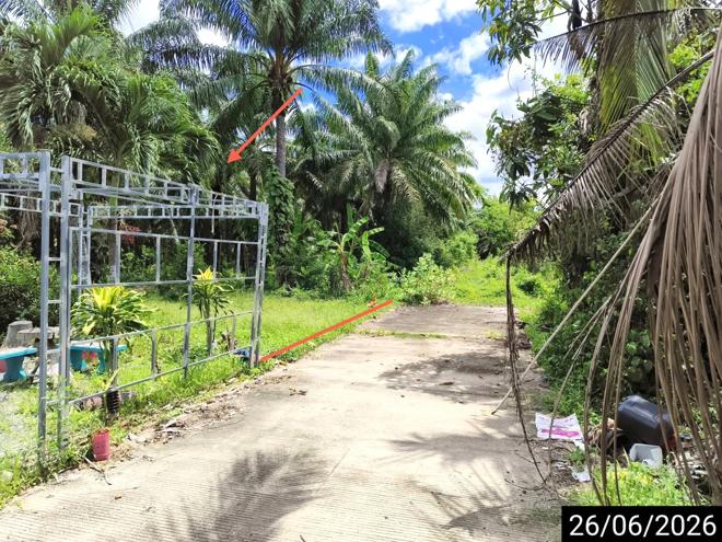 picture LAND 67 Sq.w. Chaiya Surat Thani for 359,000 - 5/15