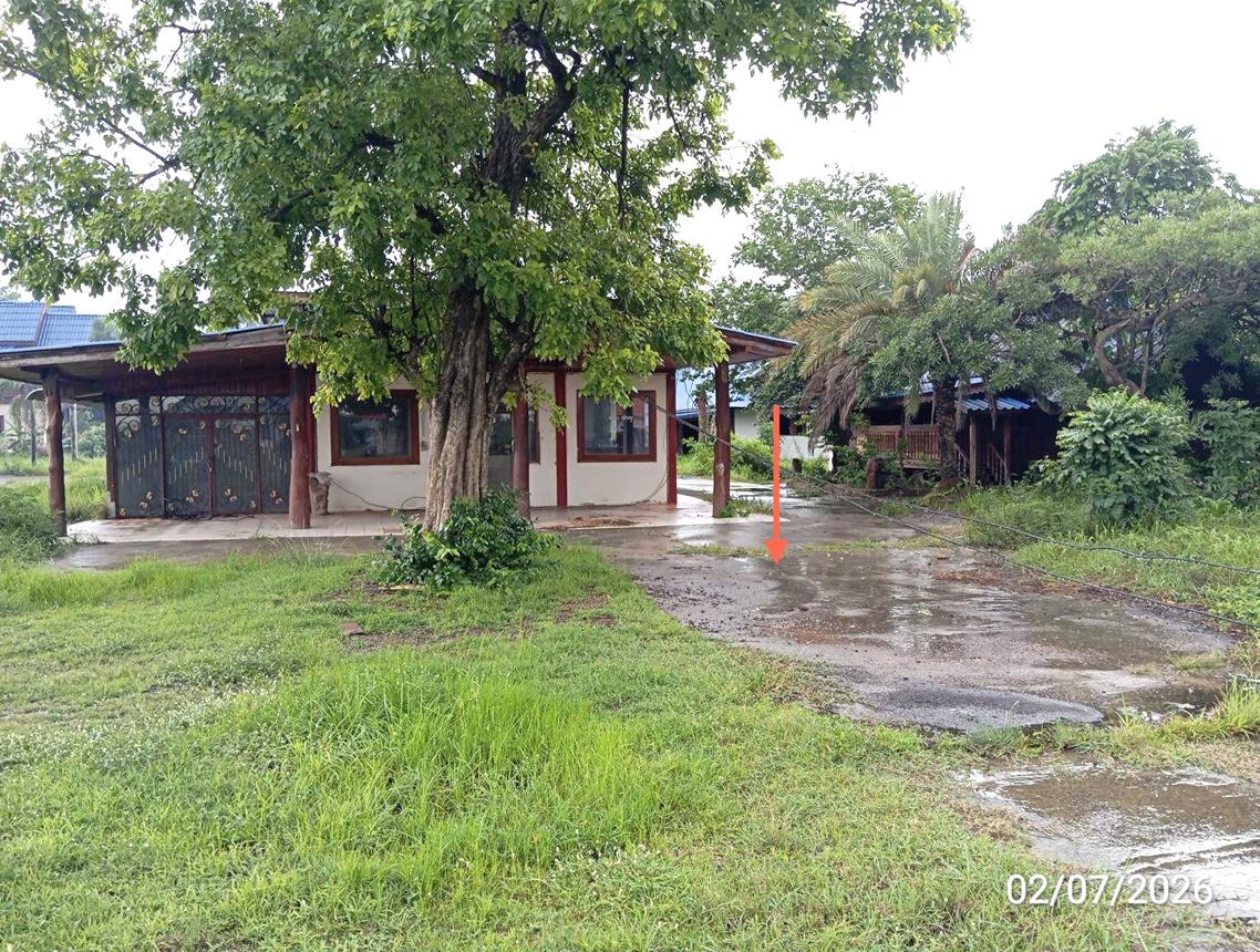 รูป บ้านเดี่ยว 587 ตร.วา ท่าตูม สุรินทร์ 2.8M - รูปที่ 22/45