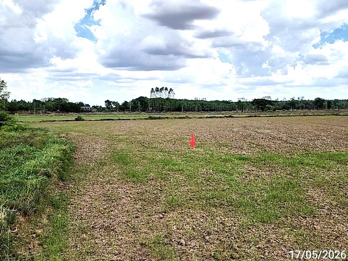 picture LAND 1522.1 Sq.w. Kosum Phisai Maha Sarakham for 419,000 - 18/25