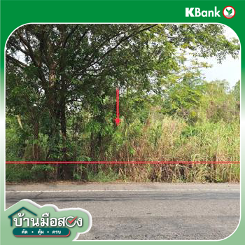 รูป ที่ดินว่างเปล่า 886 ตร.วา ตะพานหิน พิจิตร 1.4M - รูปที่ 13/15