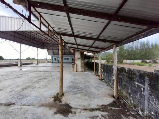 รูป โกดัง 4955 ตร.วา จุน พะเยา 15.2M - รูปที่ 5/45