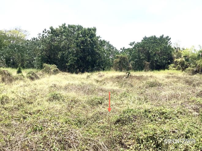 รูป ที่ดินว่างเปล่า 4246 ตร.วา คลองขลุง กำแพงเพชร 4.4M - รูปที่ 10/25