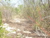 listing thumbnail image 12