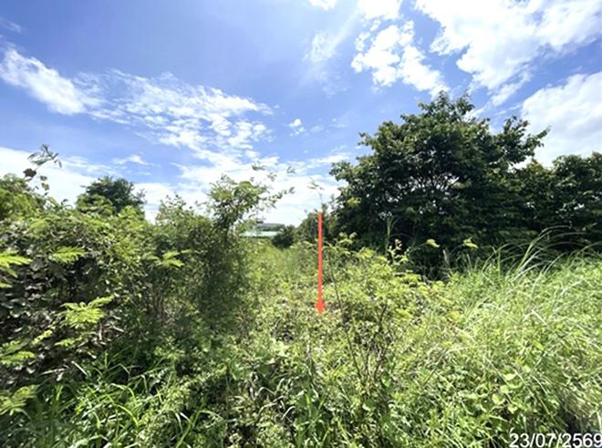picture LAND 759 Sq.w. Phran Kratai Kamphaeng Phet for 806,000 - 4/15