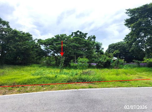 ที่ดินว่างเปล่า 320 ตร.วา บางระกำ พิษณุโลก 1.5M