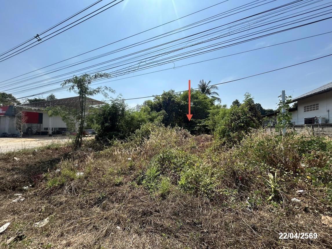 รูป โกดัง 8948 ตร.วา เดชอุดม อุบลราชธานี 13.5M - รูปที่ 42/49
