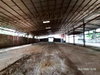 listing thumbnail image 33