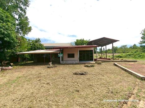 รูป บ้านเดี่ยว 5520 ตร.วา ชานุมาน อำนาจเจริญ 10.2M - รูปที่ 52/55