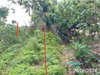 listing thumbnail image 11