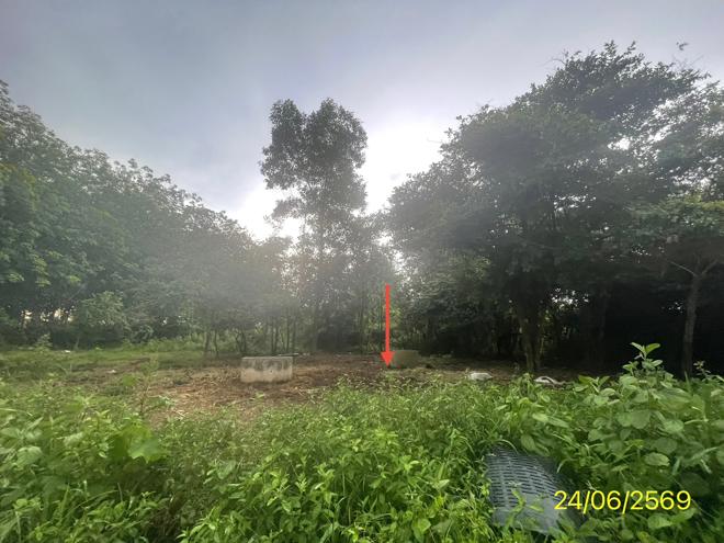picture LAND 99.8 Sq.w. Hat Yai Songkhla for 569,000 - 8/21