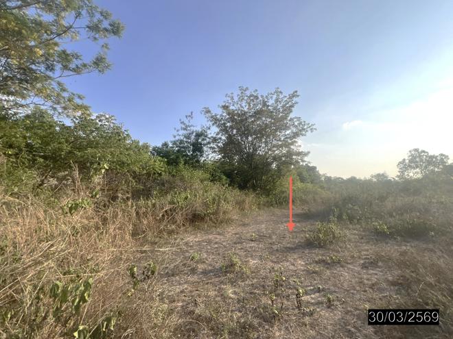picture LAND 1601.4 Sq.w. Warin Chamrap Ubon Ratchathani for 5.3M - 5/21