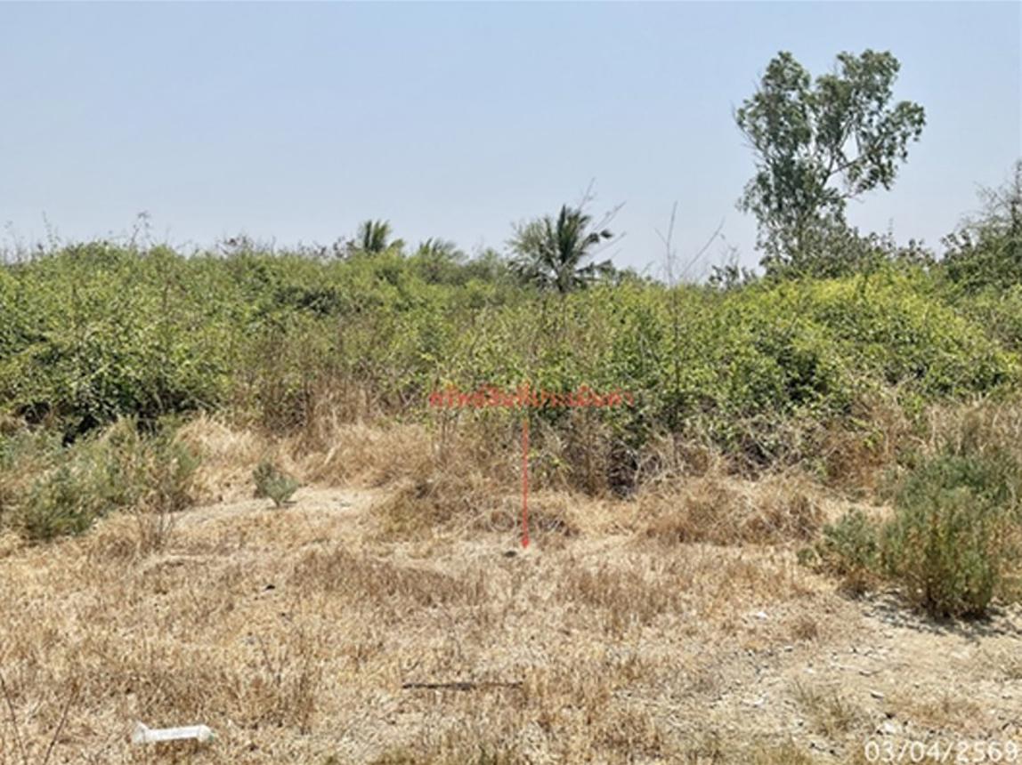 picture LAND 1800 Sq.w. Muang Phetchaburi Petchburi for 1.7M - 11/17