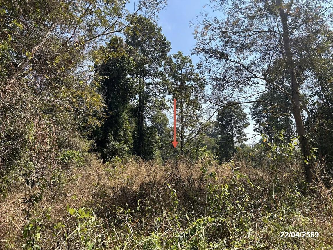 รูป โกดัง 8948 ตร.วา เดชอุดม อุบลราชธานี 13.5M - รูปที่ 43/49