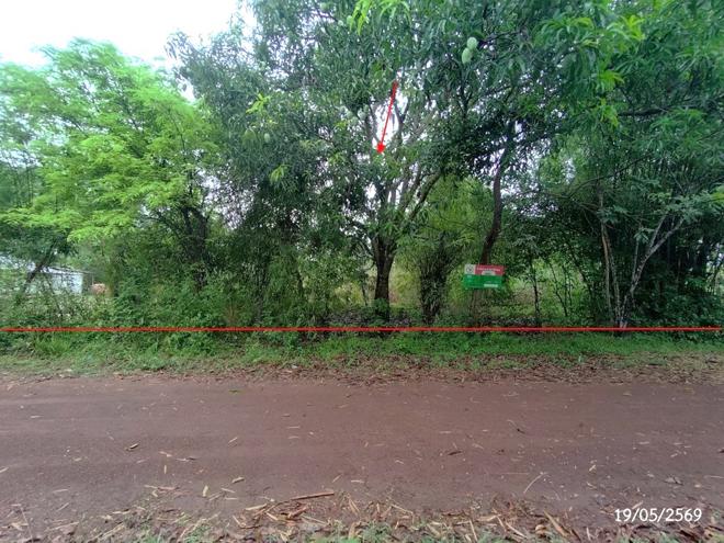 picture LAND 952 Sq.w. Waritchaphum Sakon Nakhon for 1.7M - 4/19
