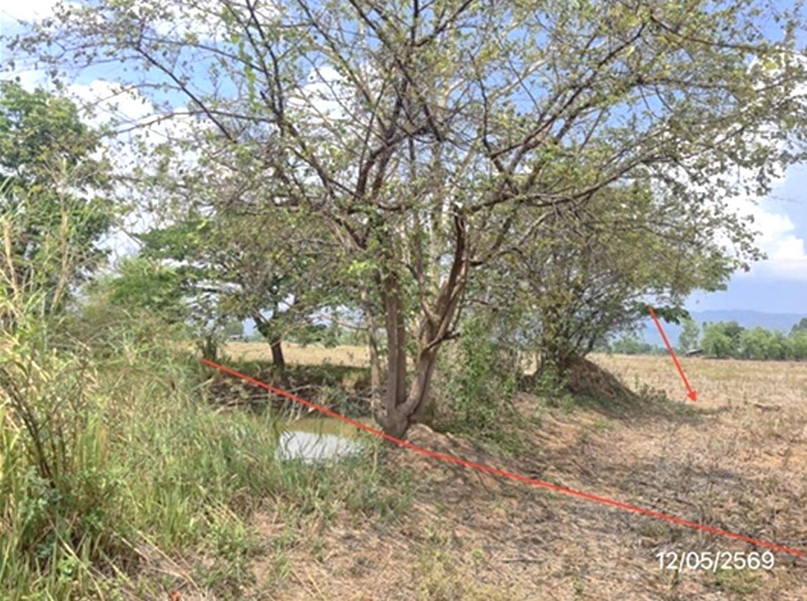 รูป ที่ดินว่างเปล่า 5493 ตร.วา ดอกคำใต้ พะเยา 1.9M - รูปที่ 10/15