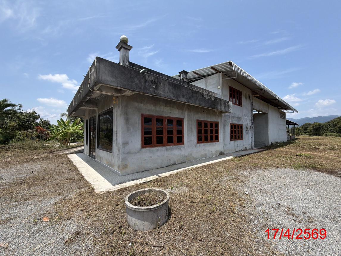 picture FACTORY 1200 Sq.w. Tha Sala Nakhon Sri Thammarat for 4.8M - 21/41