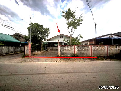 บ้านเดี่ยว ม.นอร์ท-เชียงใหม่ : บ้านเดี่ยว 99 ตร.วา สันป่าตอง เชียงใหม่ 1.2M