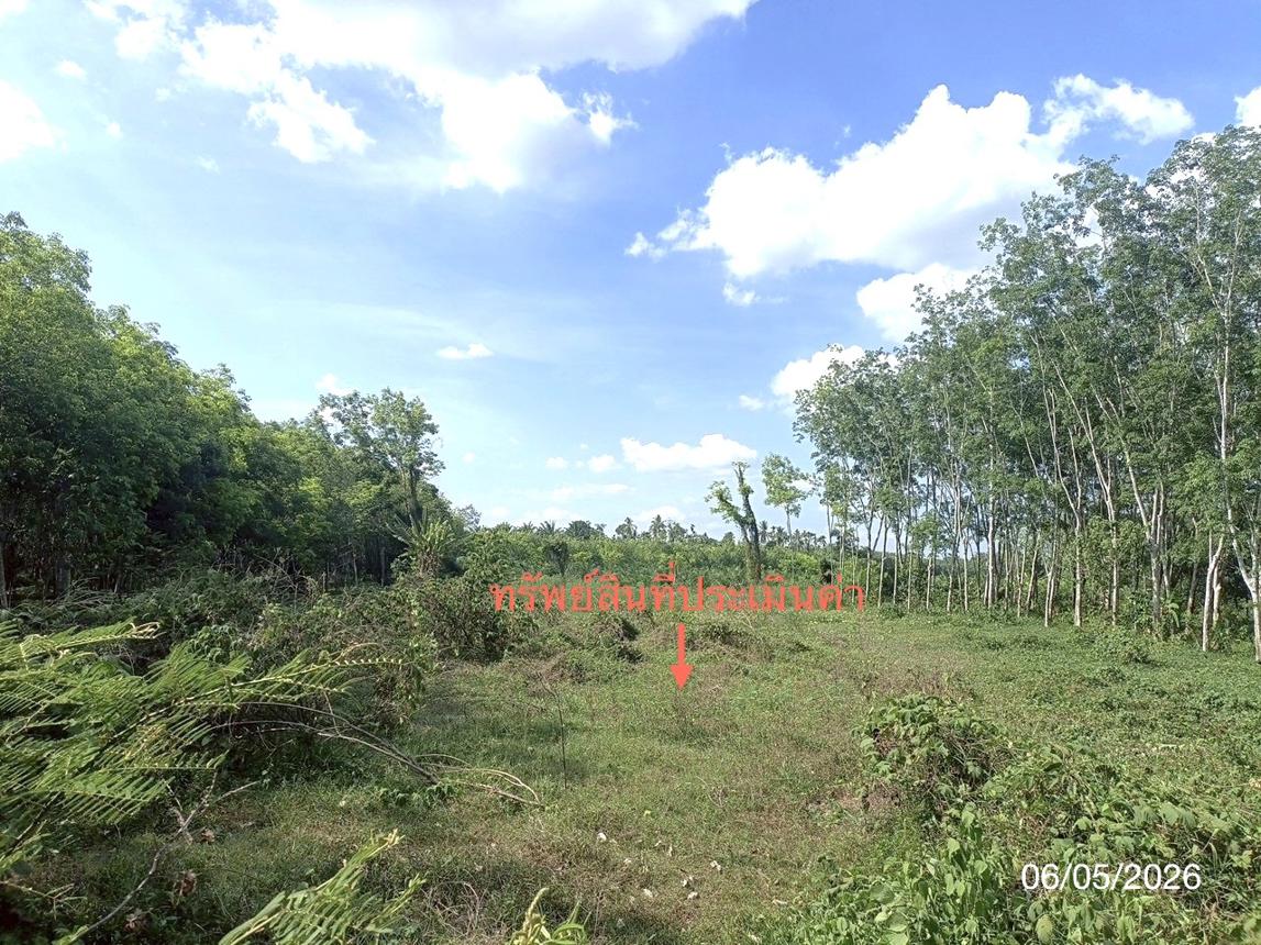รูป ที่ดินว่างเปล่า 3226.4 ตร.วา ห้วยยอด ตรัง 2.4M - รูปที่ 14/19
