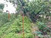 listing thumbnail image 5