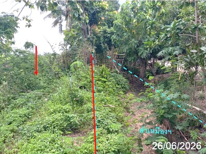 picture LAND 2211.4 Sq.w. Fang Chiang Mai for 2.8M - 6/17