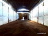 listing thumbnail image 15
